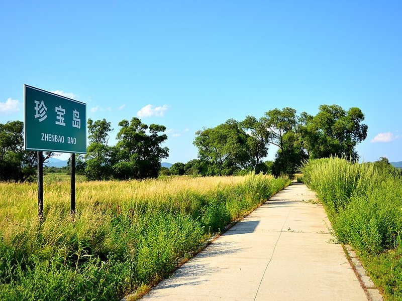 珍宝岛
